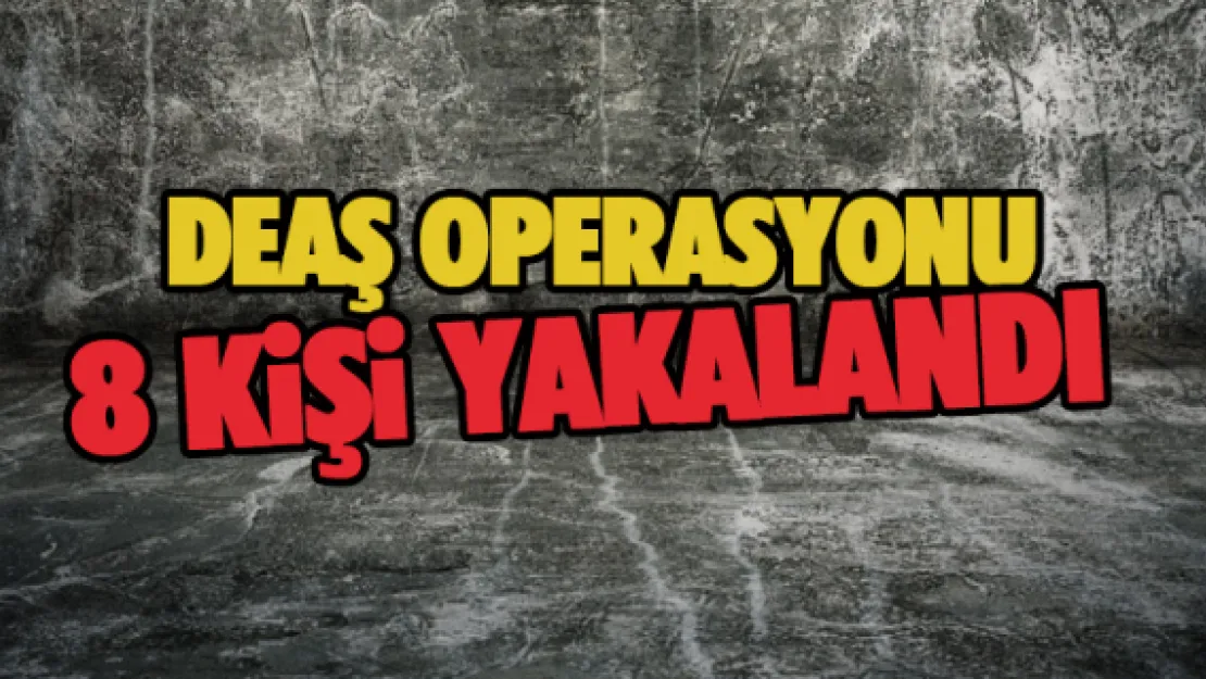 DEAŞ operasyonu: 8 kişi yakalandı