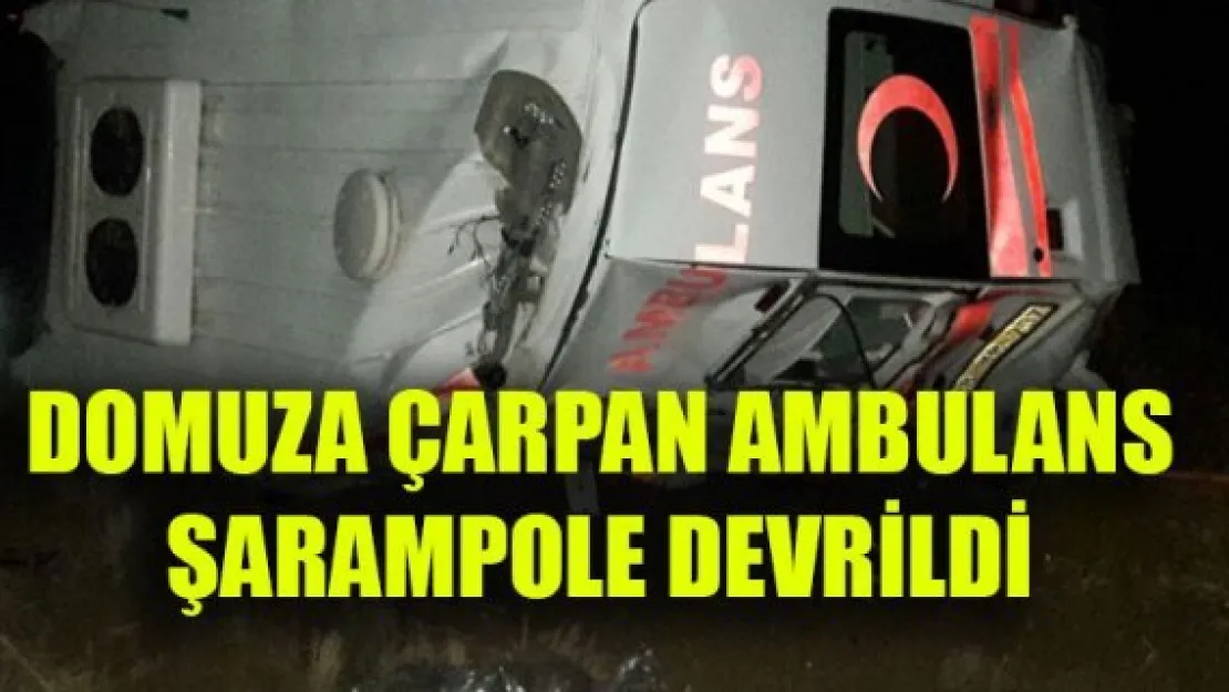 DOMUZA ÇARPAN AMBULANS ŞARAMPOLE DEVRİLDİ