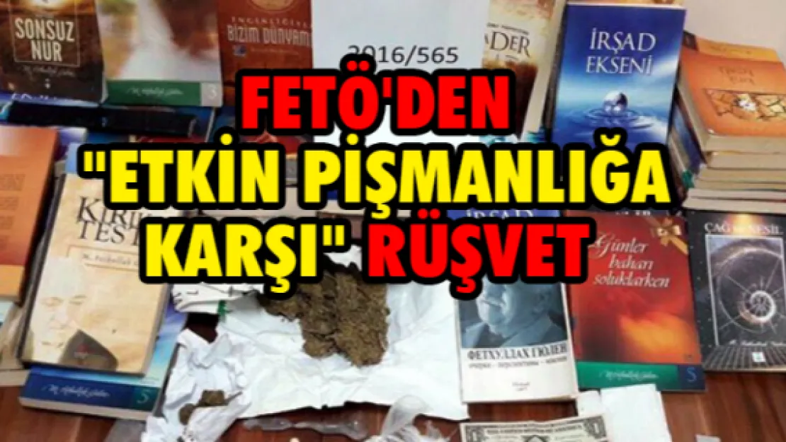 FETÖ'DEN &quotETKİN PİŞMANLIĞA KARŞI" RÜŞVET 