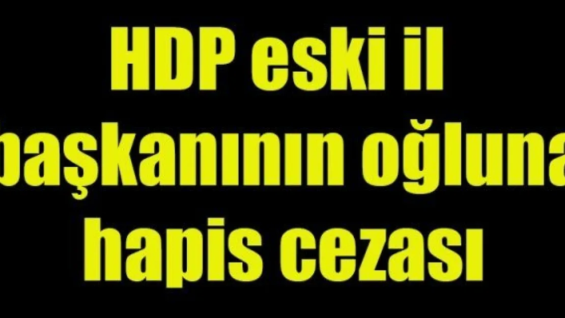 HDP eski il başkanının oğluna PKK propagandasından hapis cezası