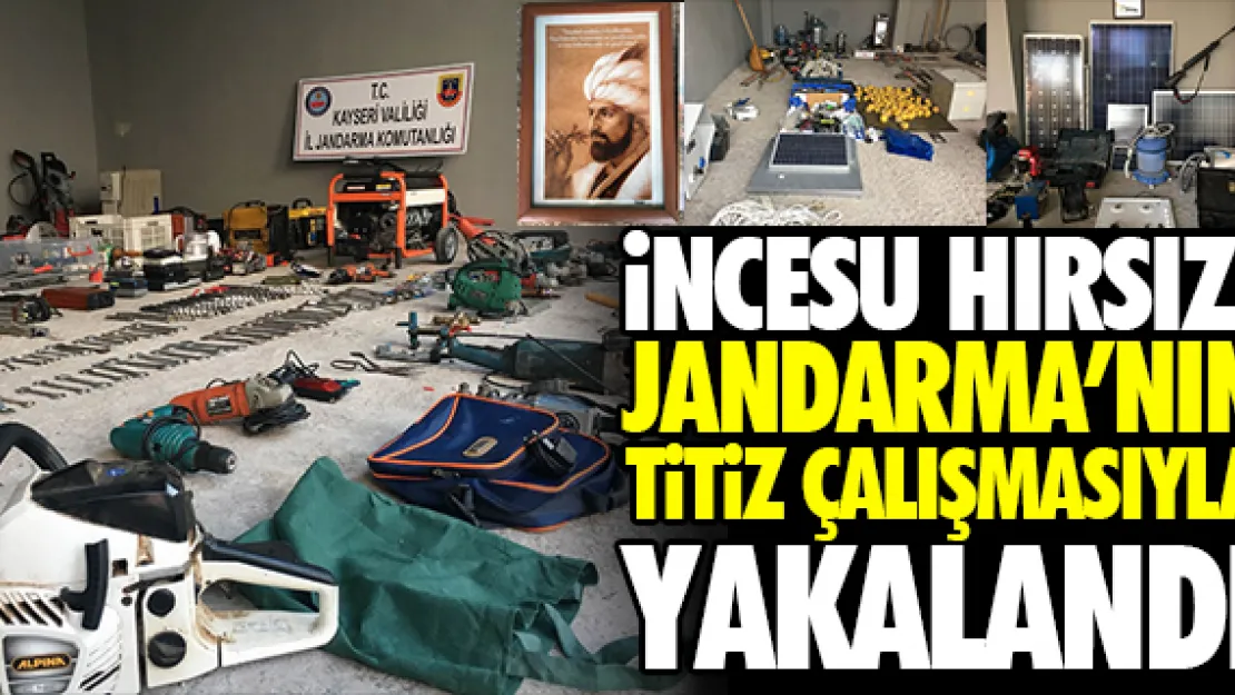 iNCESU HIRSIZI JANDARMA'NIN TiTiZ ÇALIŞMASIYLA YAKALANDI