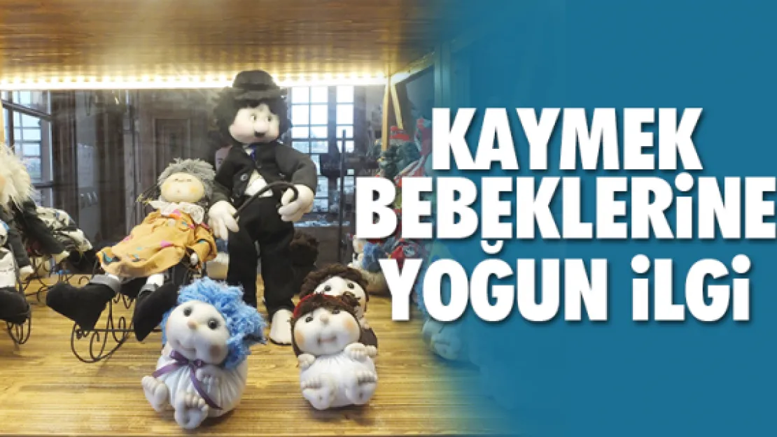 KAYMEK bebeklerine yoğun ilgi