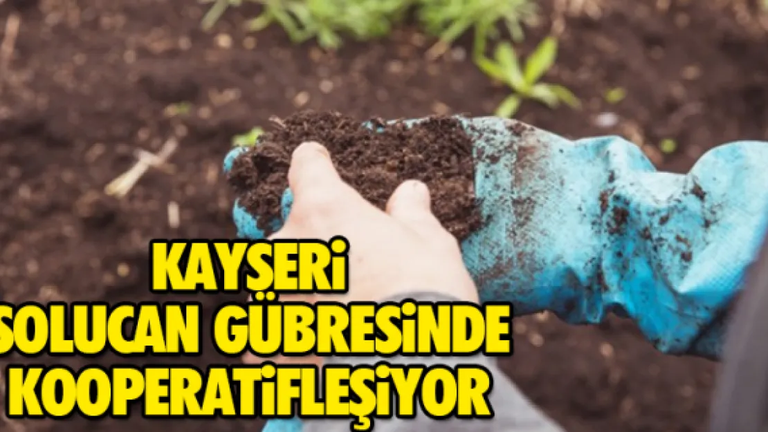 KAYSERi SOLUCAN GÜBRESiNDE KOOPERATiFLEŞiYOR