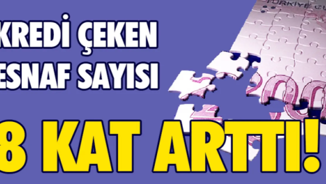 Kredi çeken esnaf sayısı 8 kat arttı!