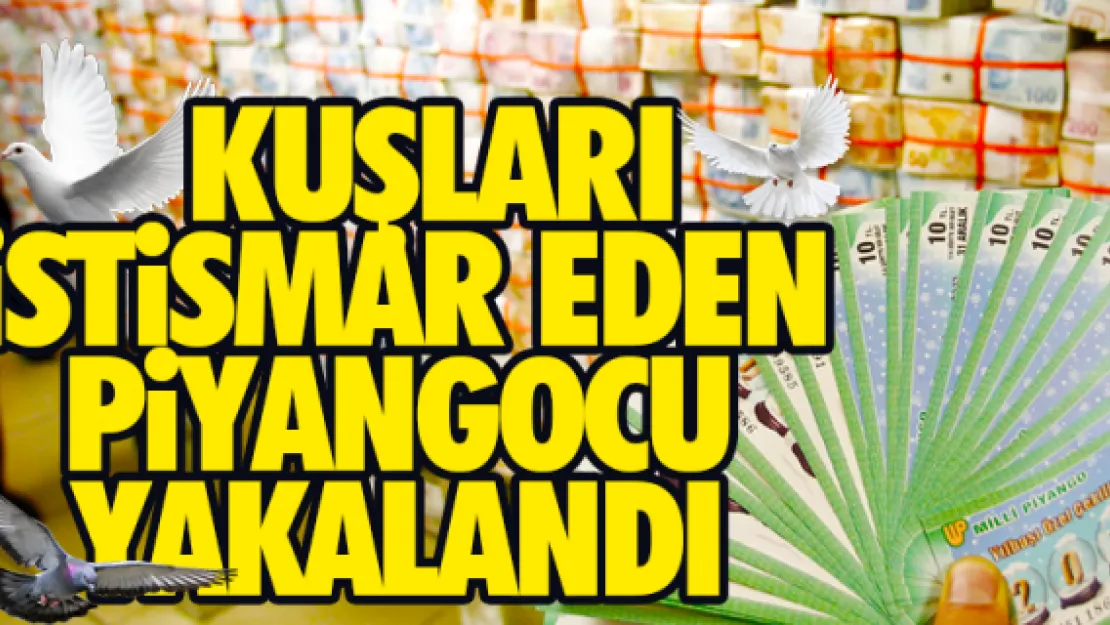 KUŞLARI İSTİSMAR EDEN PİYANGOCU YAKALANDI