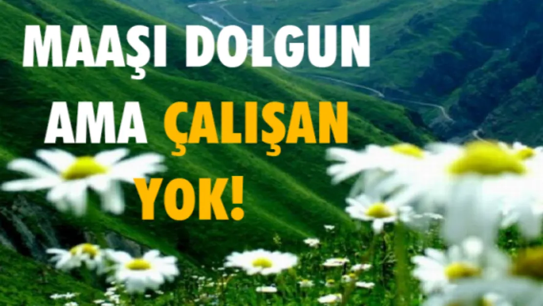 Maaşı dolgun ama çalışan yok! 