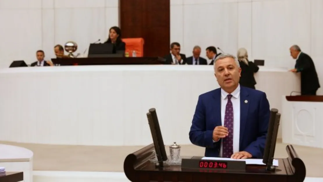 'Mankafa' polemiği