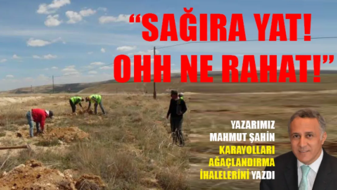 'SAĞIRA YAT! OHH NE RAHAT!'