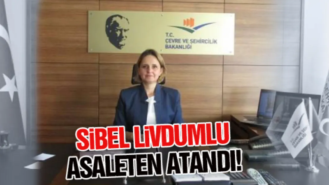 Sibel Livdumlu asaleten atandı!