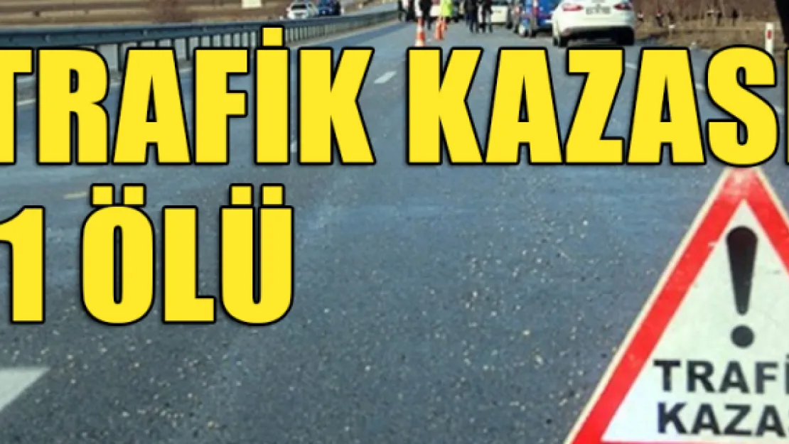 Trafik kazası: 1 ölü 