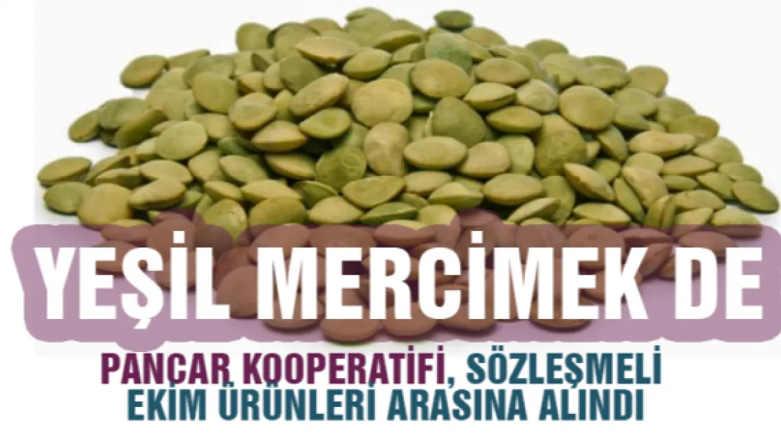 YEŞİL MERCİMEK DE KAPSAMA ALANINDA