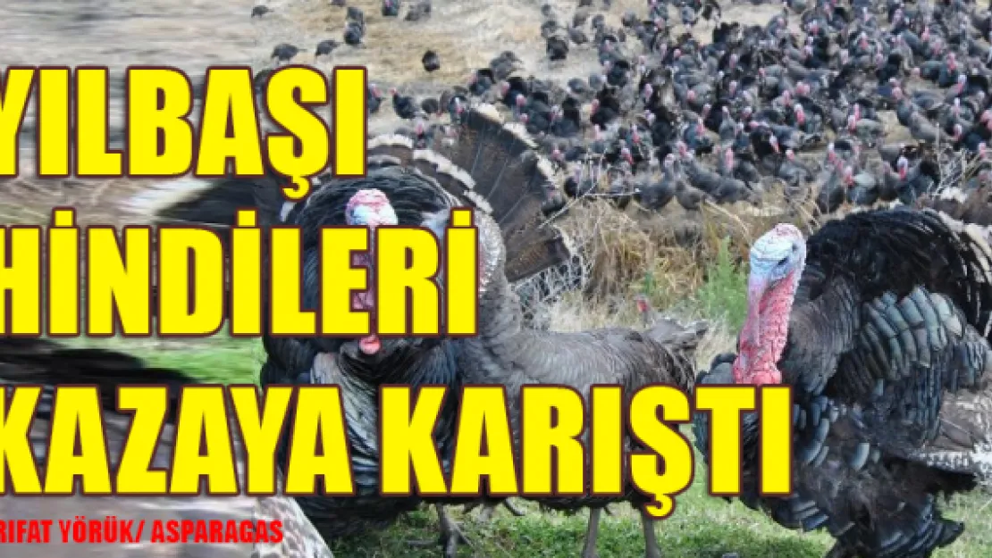 YILBAŞI HİNDİLERİ KAZAYA KARIŞTI