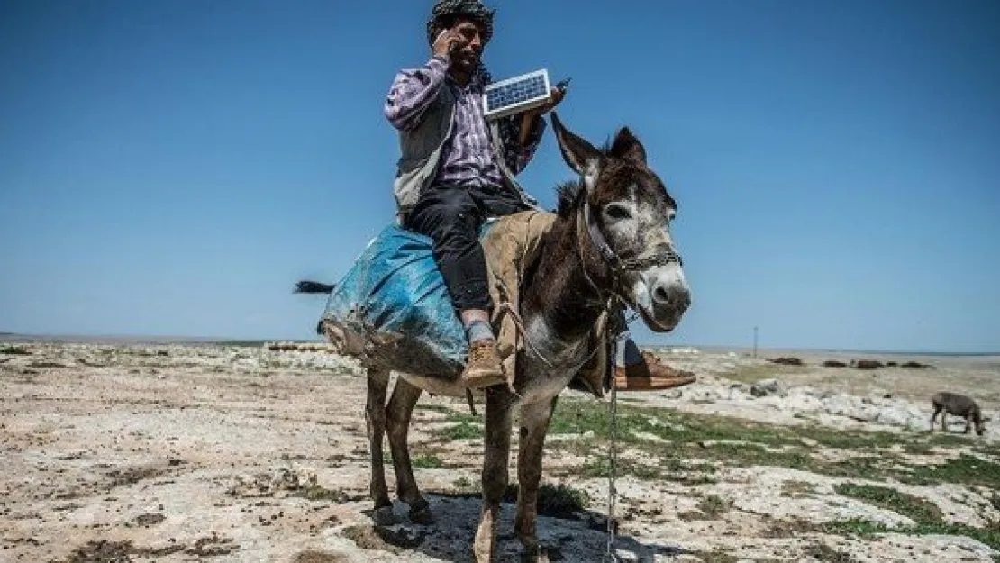 Çobanların telefon şarjı eşek sırtındaki güneş panellerinden