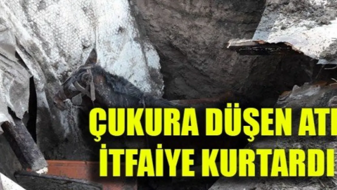 ÇUKURA DÜŞEN ATI İTFAİYE KURTARDI