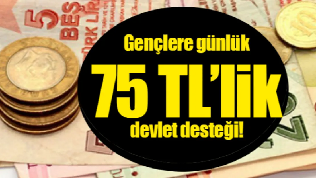 Gençlere günlük 75 TL'lik devlet desteği!