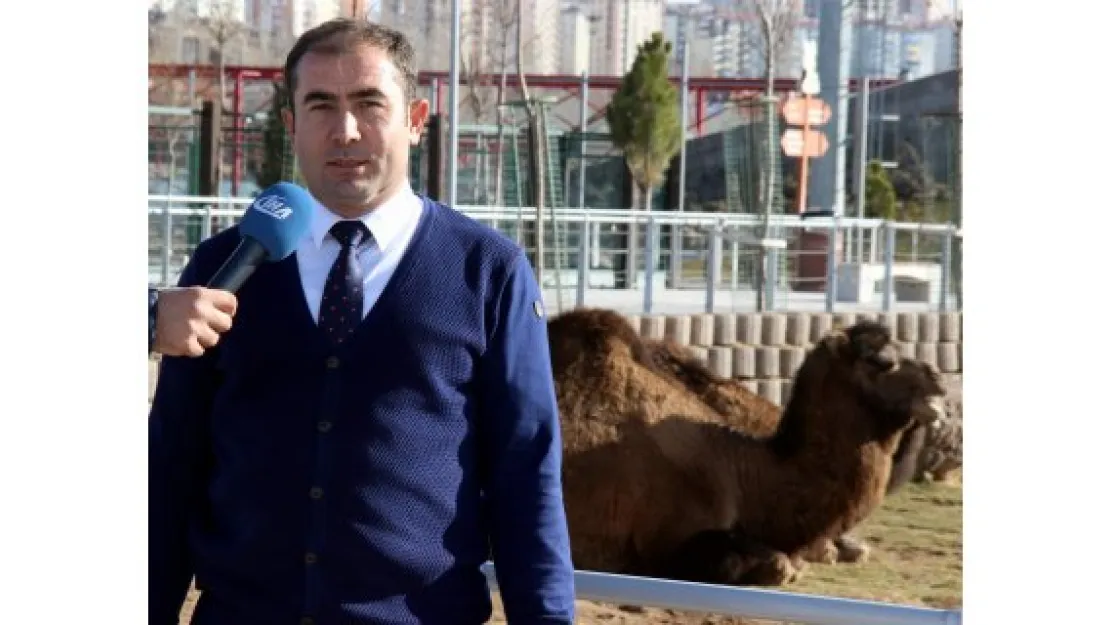 Hayvanat Bahçesi çetin kış şartlarına hazır