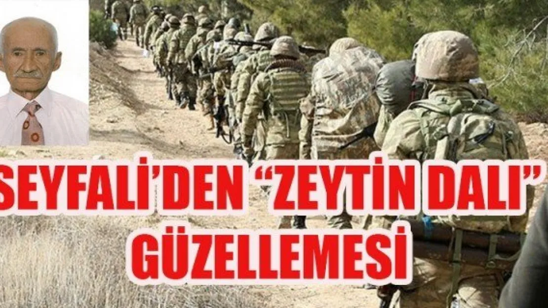 SEYFALİ'DEN 'ZEYTİN DALI' GÜZELLEMESİ