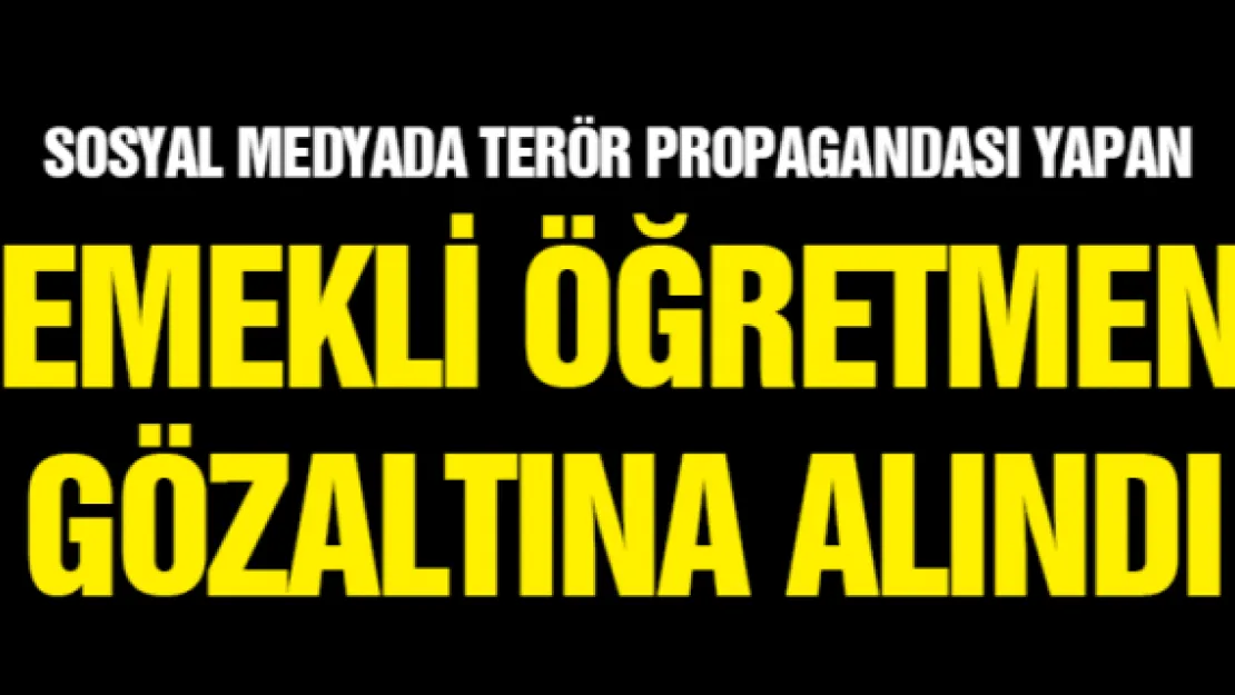 Sosyal medyada terör propagandasına gözaltı