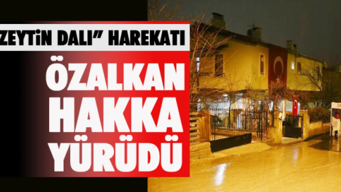 'ZEYTİN DALI' HAREKATI