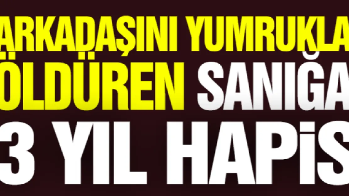 Arkadaşını yumrukla öldüren sanığa 3 yıl hapis 
