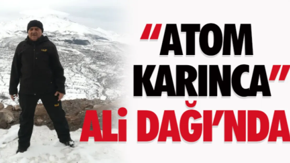 'Atom karınca' Ali Dağı'nda