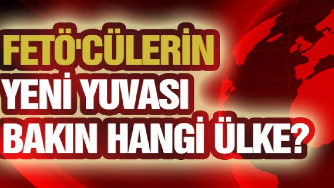 FETÖ'cülerin yeni yuvası bakın hangi ülke!