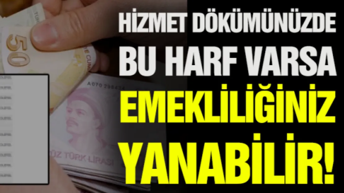 Hizmet dökümünüzde bu harf varsa emekliliğiniz yanabilir!