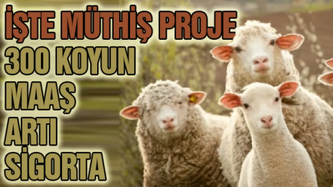 İŞTE MÜTHİŞ PROJE