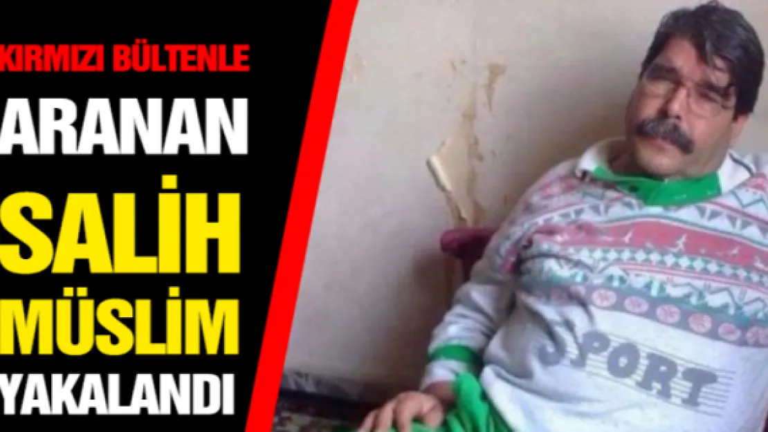 Kırmızı bültenle aranan Salih Müslim yakalandı