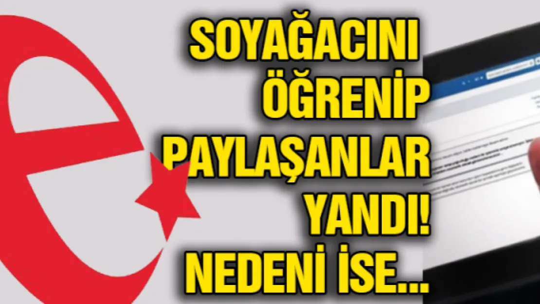 Soyağacını öğrenip paylaşanlar yandı! Nedeni ise...