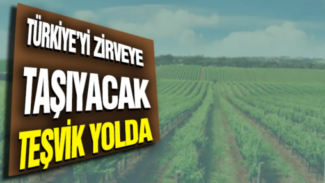 Türkiye'yi zirveye taşıyacak teşvik yolda