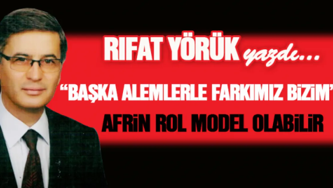 Afrin rol model olabilir