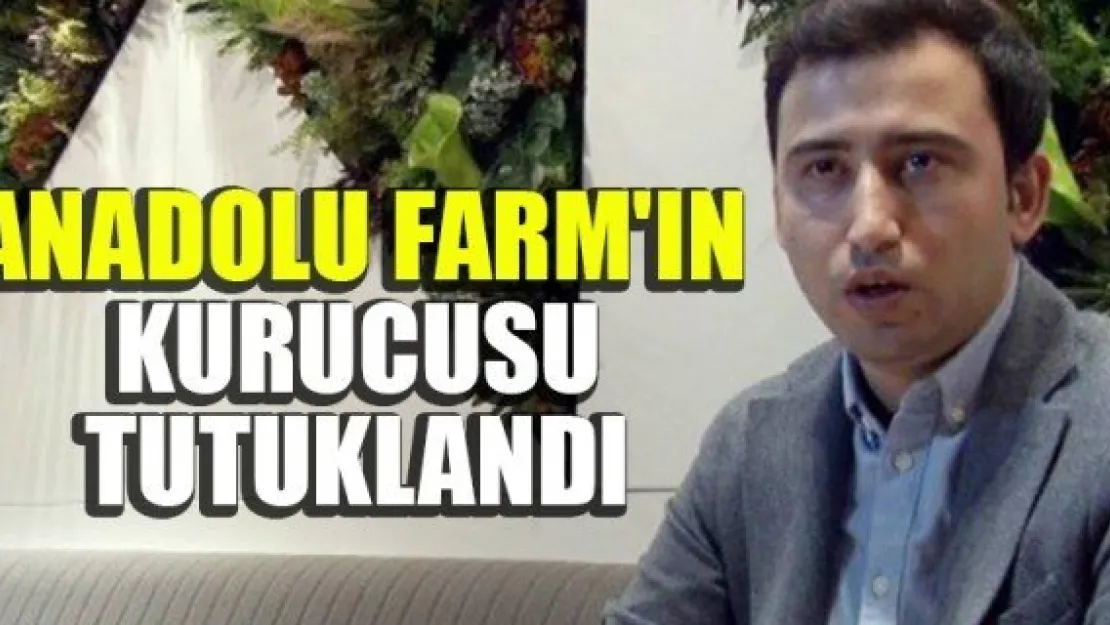 ANADOLU FARM'IN KURUCUSU TUTUKLANDI