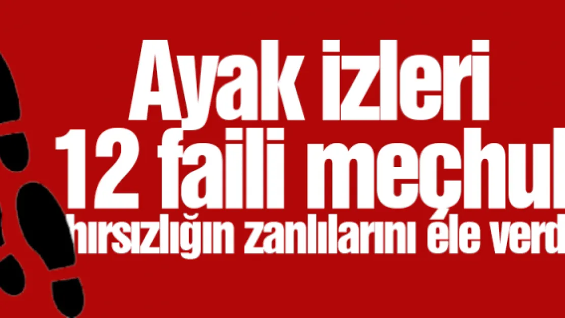 Ayak izleri 12 faili meçhul hırsızlığın zanlılarını ele verdi