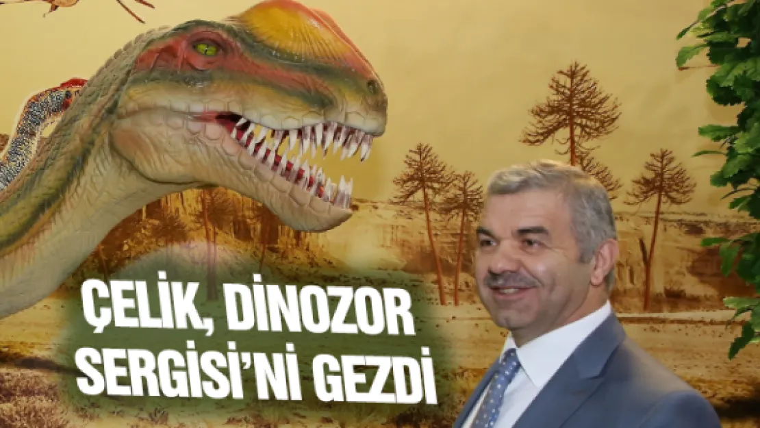 Çelik, Dinozor Sergisi'ni gezdi