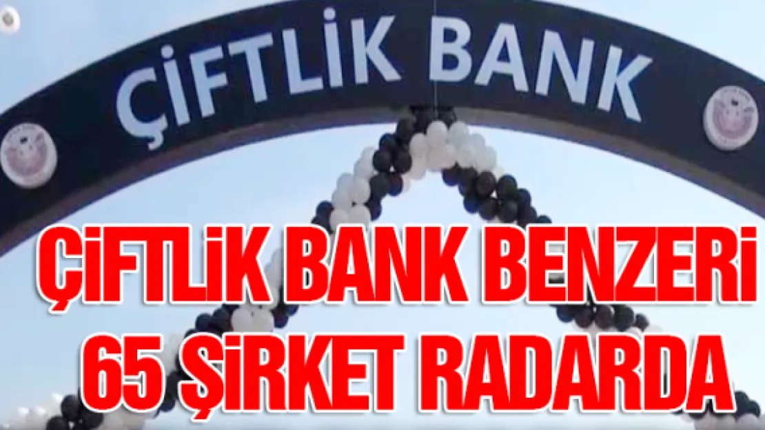 Çiftlik Bank benzeri 65 şirket radarda