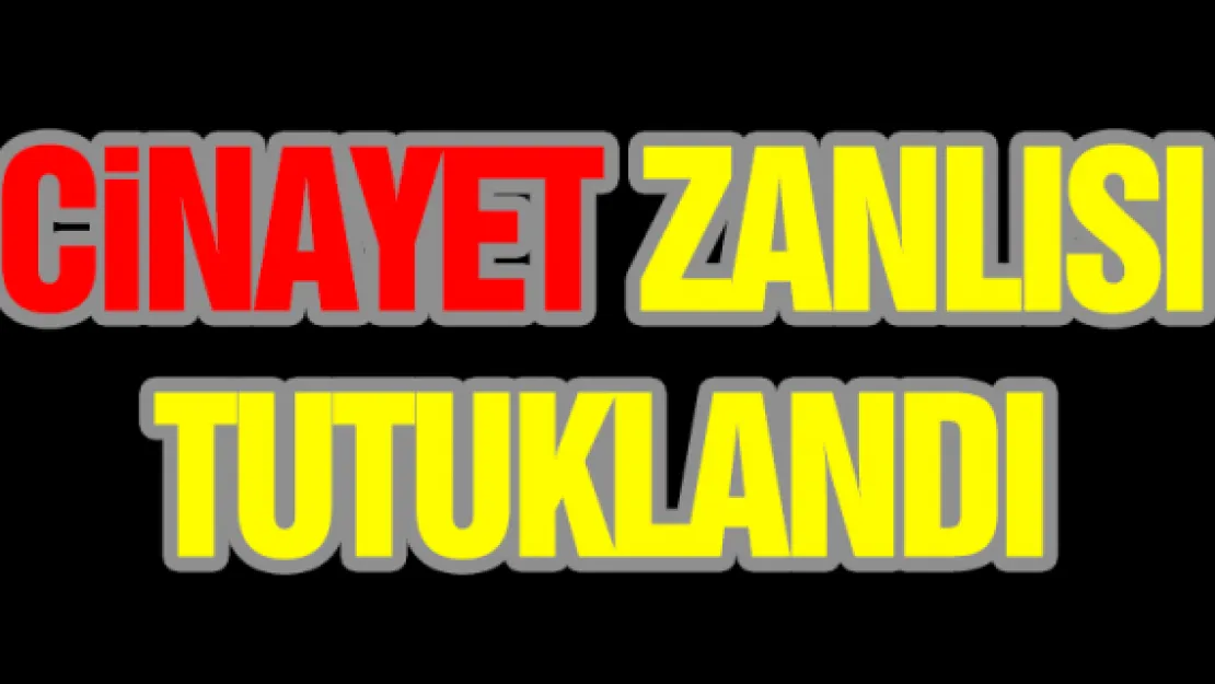 Cinayet zanlısı tutuklandı