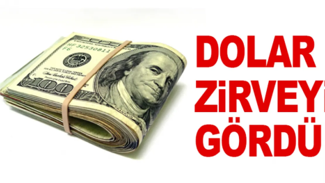 DOLAR TARİHİ ZİRVEYİ GÖRDÜ