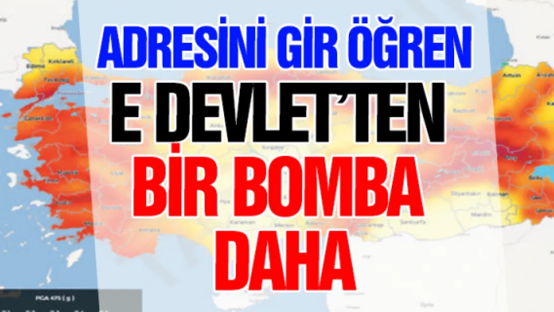 E devlet'ten  bir bomba  daha