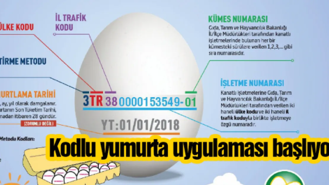 Kodlu yumurta uygulaması başlıyor 