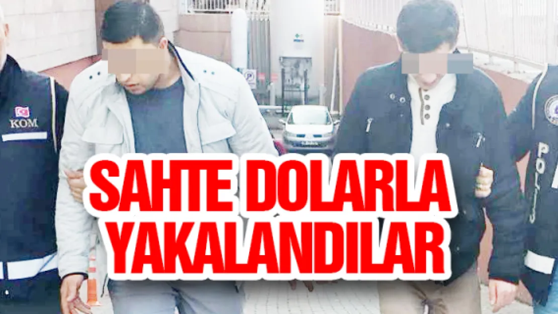 Sahte dolarla yakalandılar