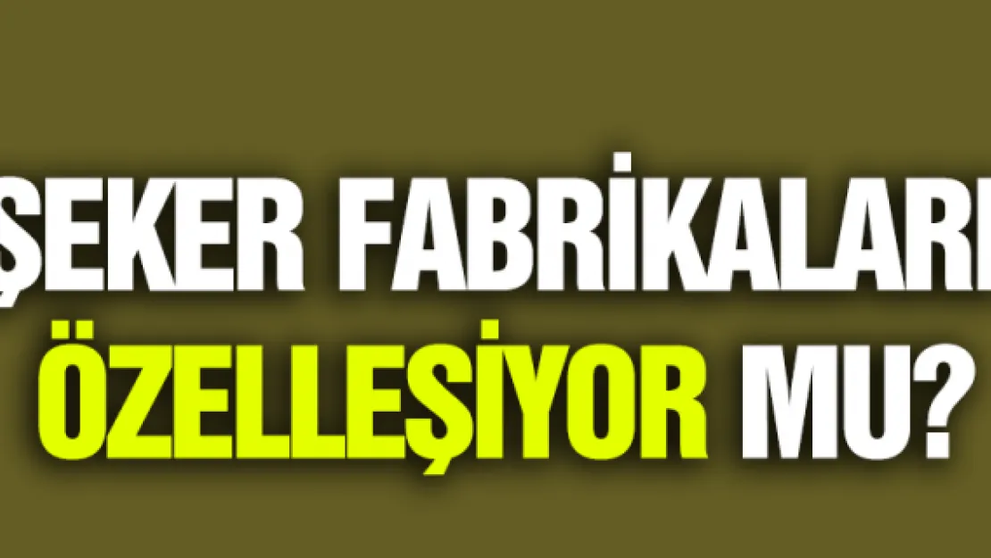 Şeker fabrikaları özelleşiyor mu? Erdoğan açıkladı