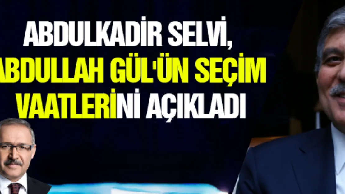 Abdulkadir Selvi, Abdullah Gül'ün seçim vaatlerini açıkladı