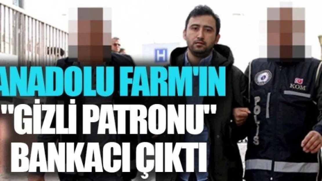 ANADOLU FARM'IN &quotGİZLİ PATRONU" BANKACI ÇIKTI