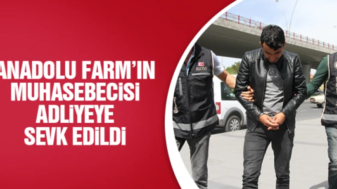 ANADOLU FARM'IN MUHASEBECiSi ADLiYEYE SEVK EDiLDi