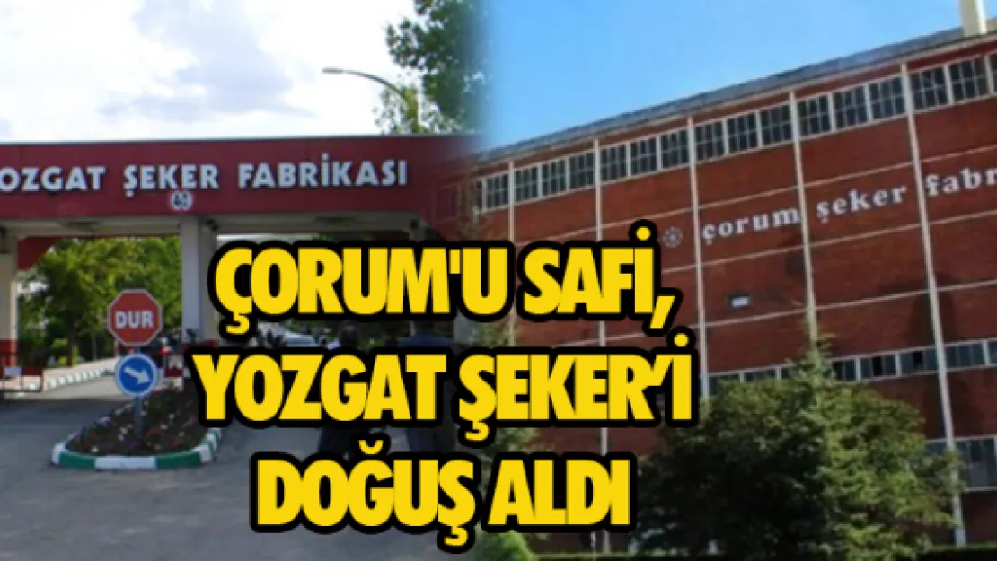 Çorum'u Safi, Yozgat Şeker'i Doğuş aldı