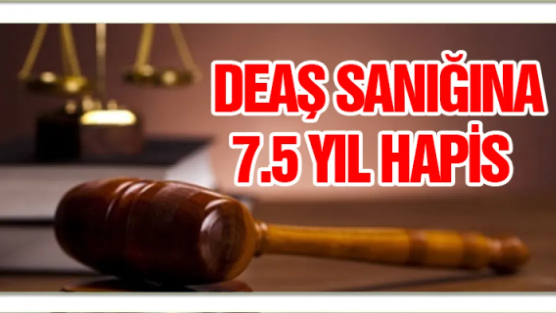 DEAŞ sanığına 7.5 yıl hapis 