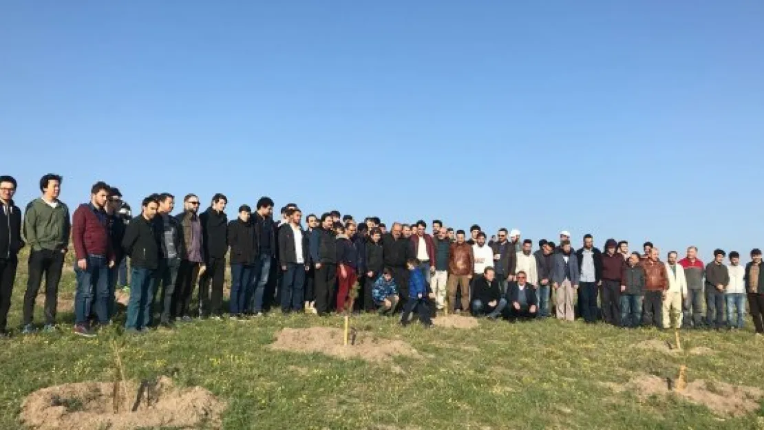 Doktor adayları Kocasinan'a fidan dikti