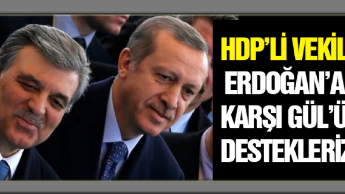 HDP'Lİ VEKİL, &quotERDOĞAN'A KARŞI, GÜL'Ü DESTEKLERİZ"