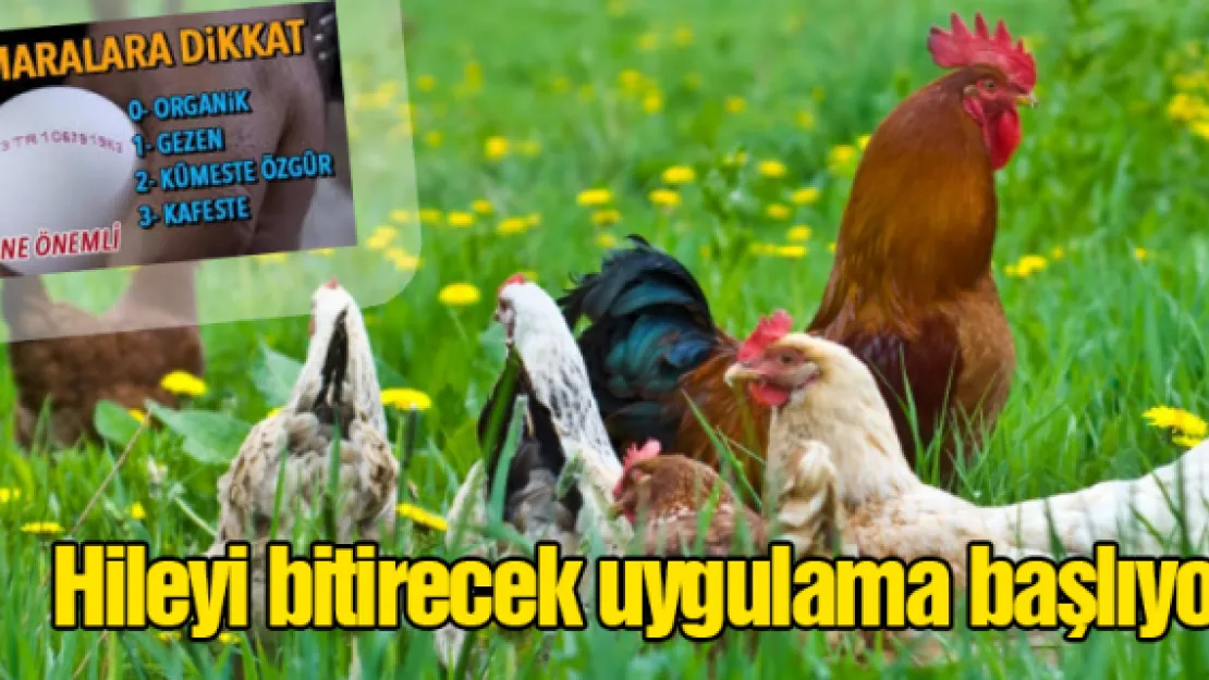 Hileyi bitirecek uygulama başlıyor